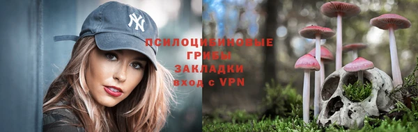 твердый Аша