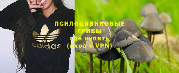 PSILOCYBIN Заволжск