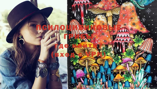 PSILOCYBIN Заволжск