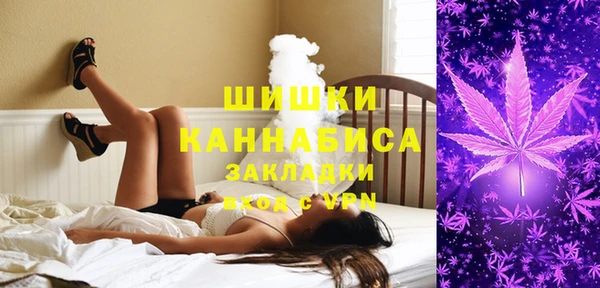 PSILOCYBIN Заволжск