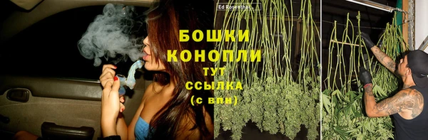 PSILOCYBIN Заволжск