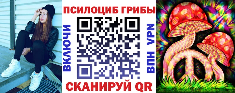 гидра маркетплейс цены Зверево Галлюциногенные грибы Psilocybe